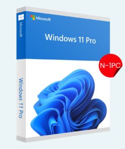 Windows 11 Pro N 1 PC License Key